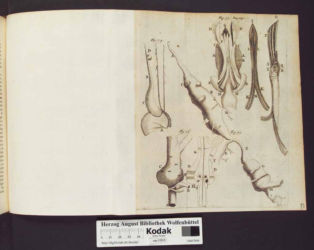 http://diglib.hab.de/drucke/ma-132-1/00152a.jpg