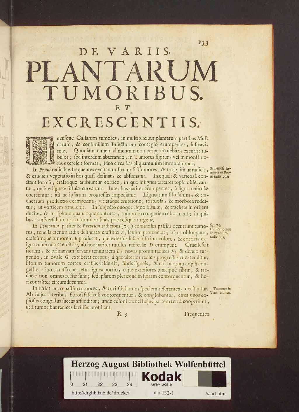 http://diglib.hab.de/drucke/ma-132-1/00155.jpg