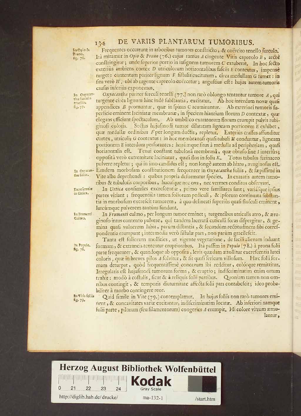 http://diglib.hab.de/drucke/ma-132-1/00156.jpg