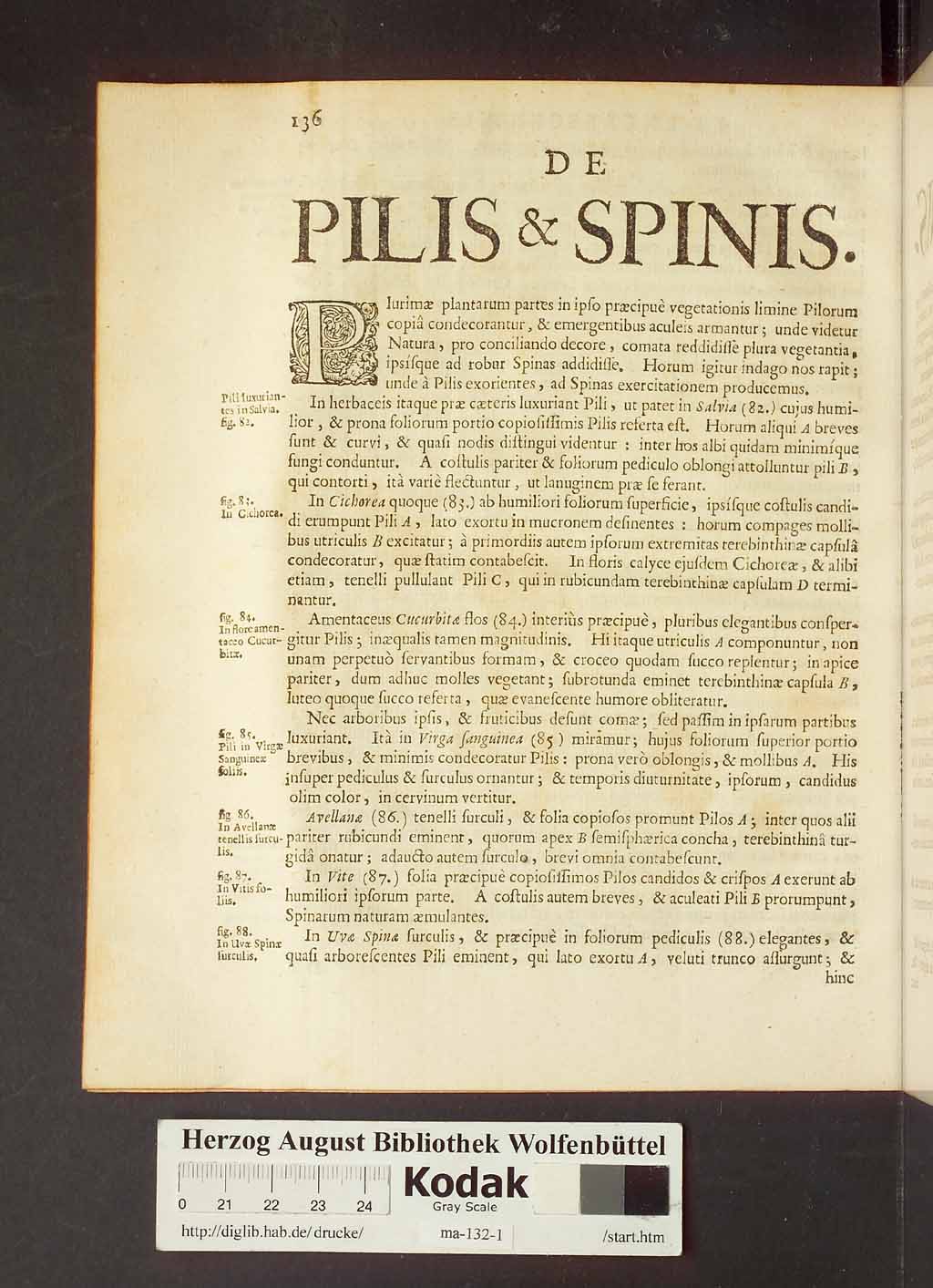 http://diglib.hab.de/drucke/ma-132-1/00158.jpg