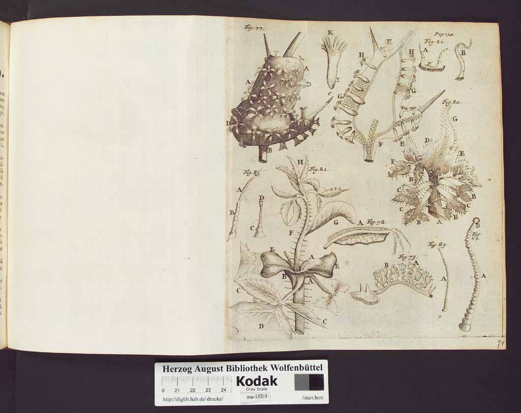 http://diglib.hab.de/drucke/ma-132-1/00158a.jpg