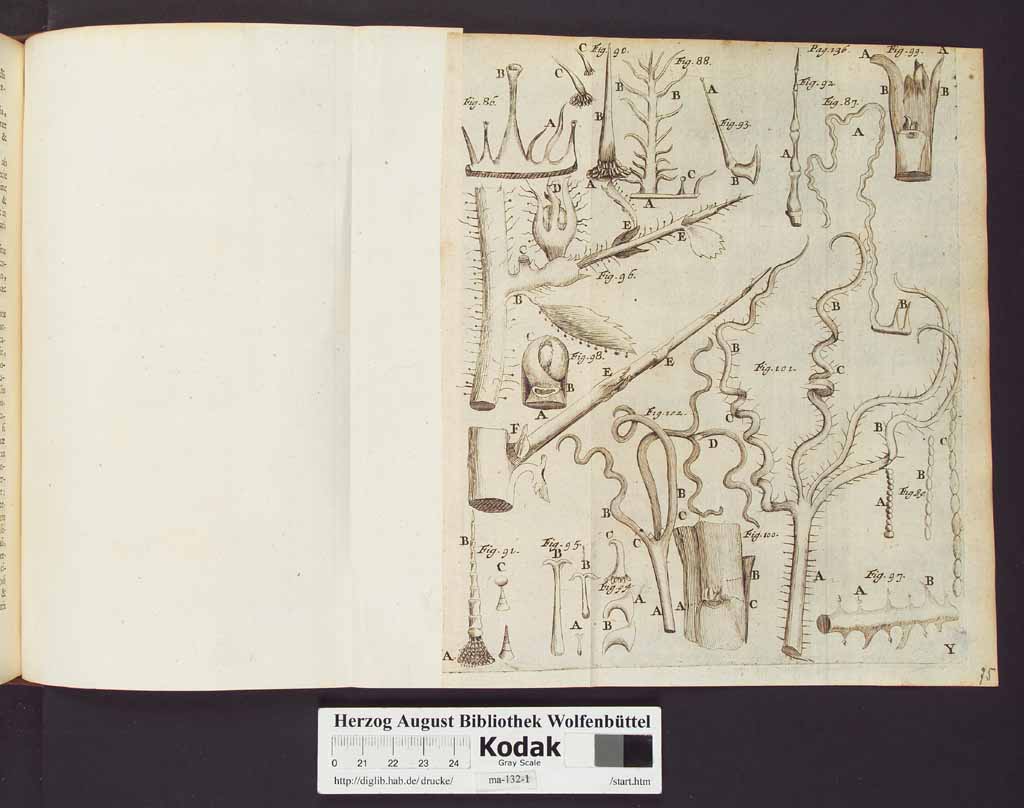http://diglib.hab.de/drucke/ma-132-1/00160a.jpg