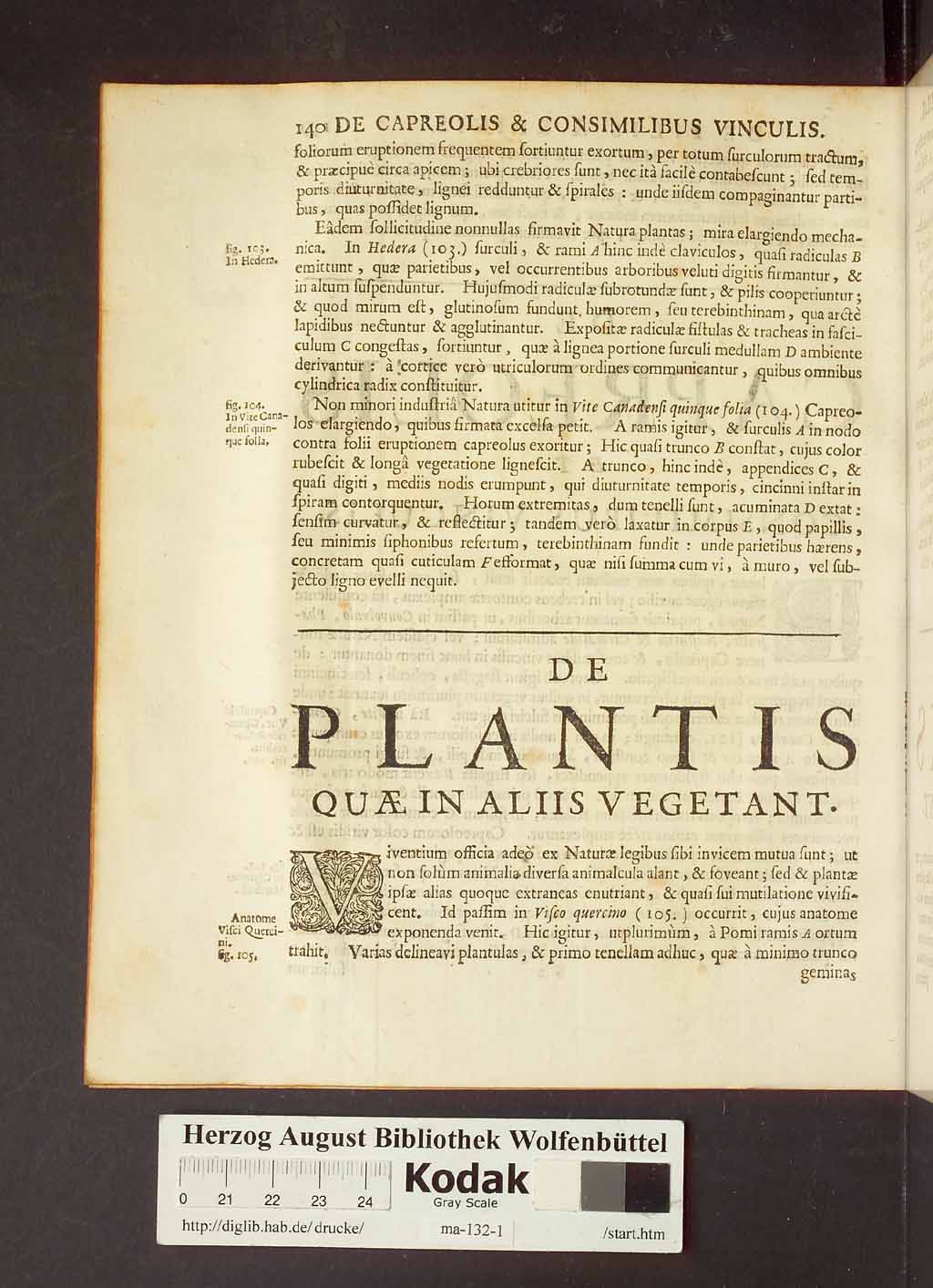 http://diglib.hab.de/drucke/ma-132-1/00162.jpg