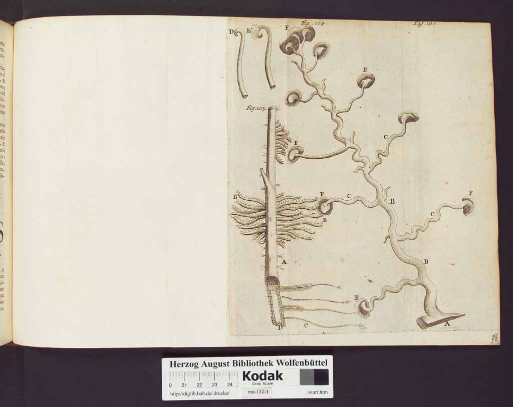 http://diglib.hab.de/drucke/ma-132-1/00162a.jpg
