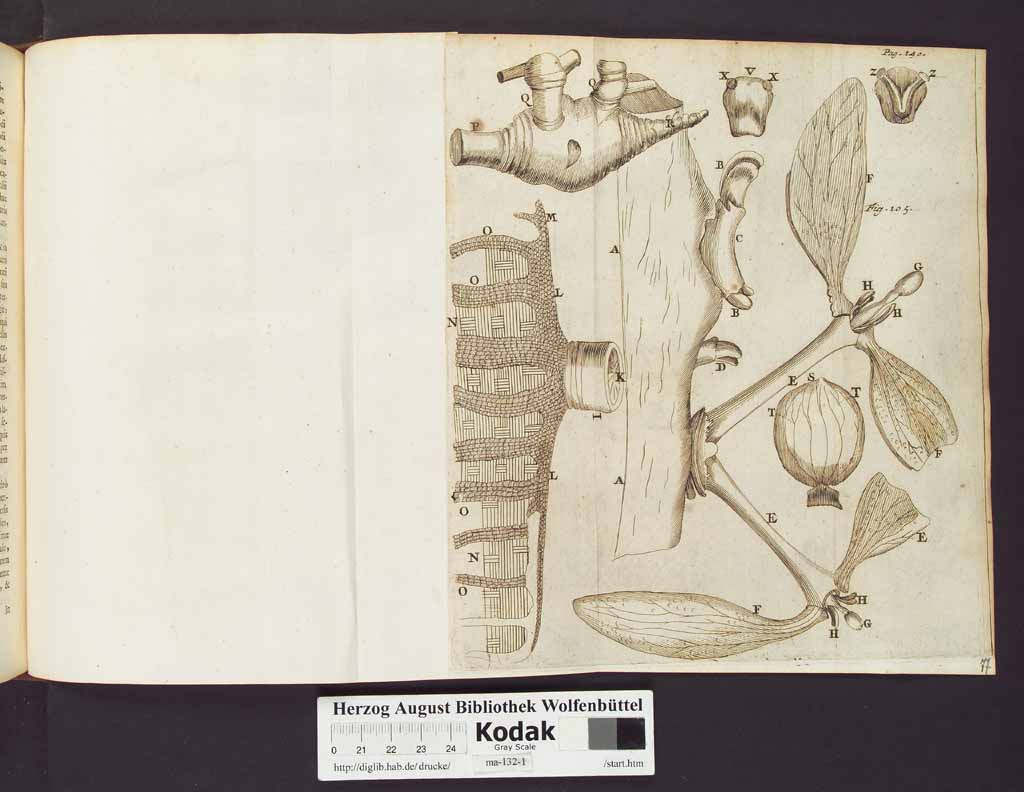 http://diglib.hab.de/drucke/ma-132-1/00164a.jpg