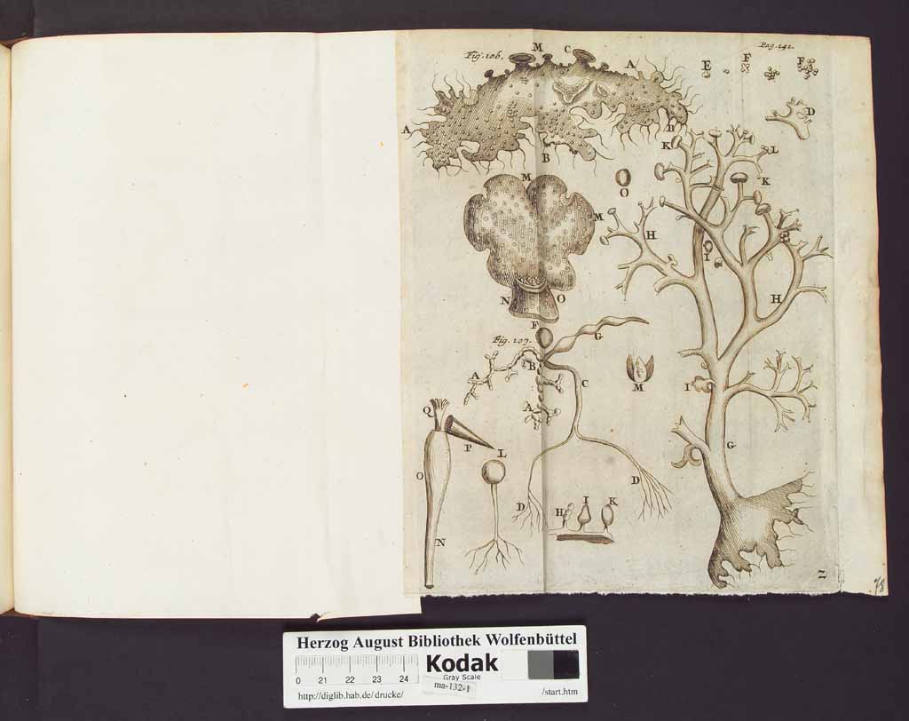 http://diglib.hab.de/drucke/ma-132-1/00164b.jpg