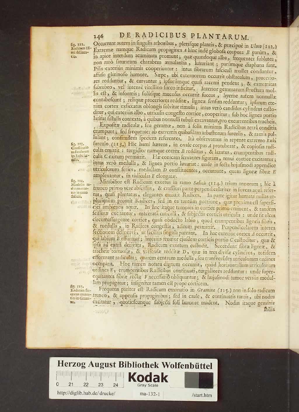 http://diglib.hab.de/drucke/ma-132-1/00168.jpg