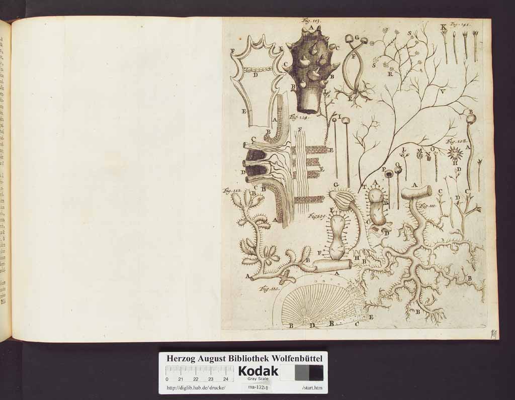 http://diglib.hab.de/drucke/ma-132-1/00168a.jpg