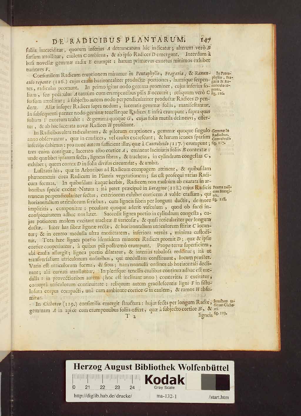 http://diglib.hab.de/drucke/ma-132-1/00169.jpg
