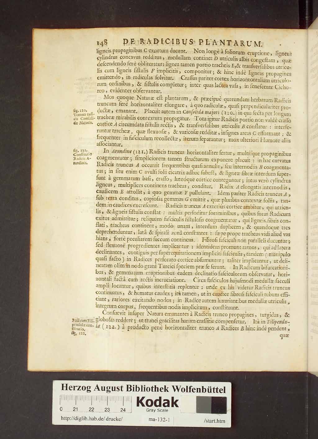 http://diglib.hab.de/drucke/ma-132-1/00170.jpg