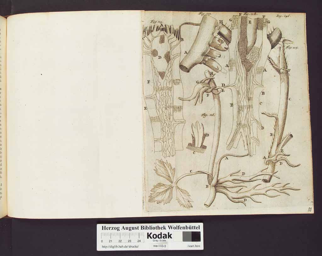 http://diglib.hab.de/drucke/ma-132-1/00170a.jpg