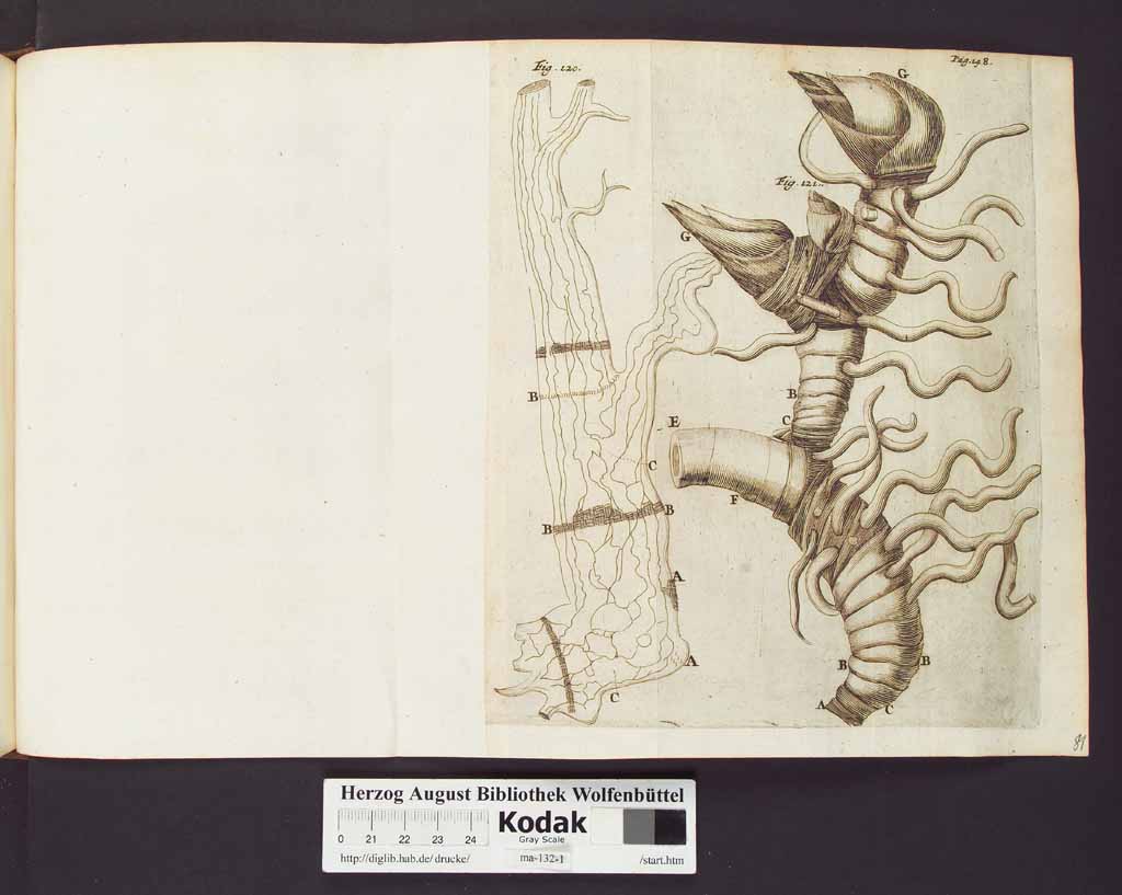 http://diglib.hab.de/drucke/ma-132-1/00170b.jpg