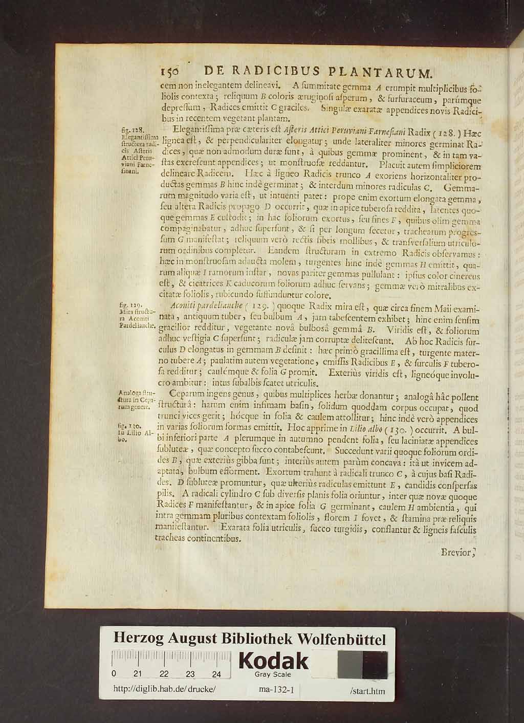 http://diglib.hab.de/drucke/ma-132-1/00172.jpg