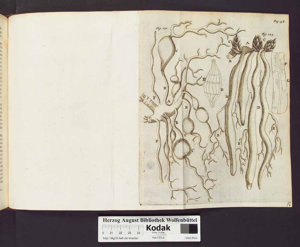 http://diglib.hab.de/drucke/ma-132-1/00172a.jpg