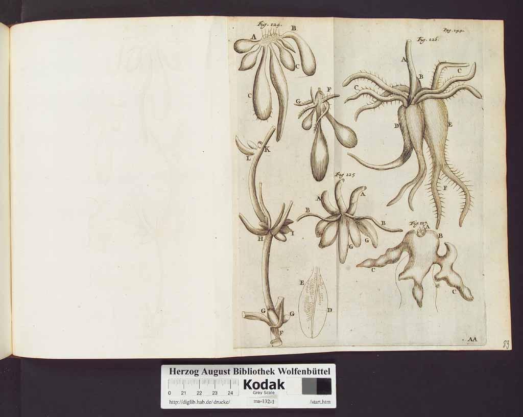 http://diglib.hab.de/drucke/ma-132-1/00172b.jpg