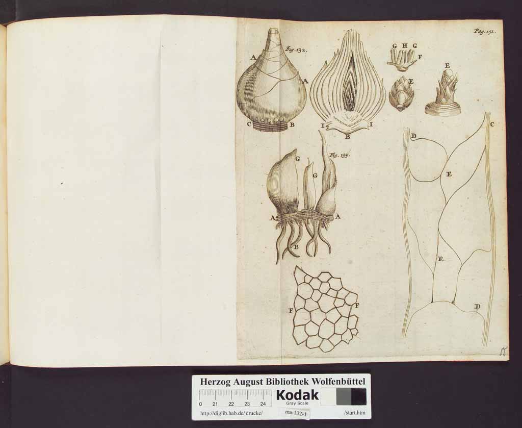 http://diglib.hab.de/drucke/ma-132-1/00174a.jpg