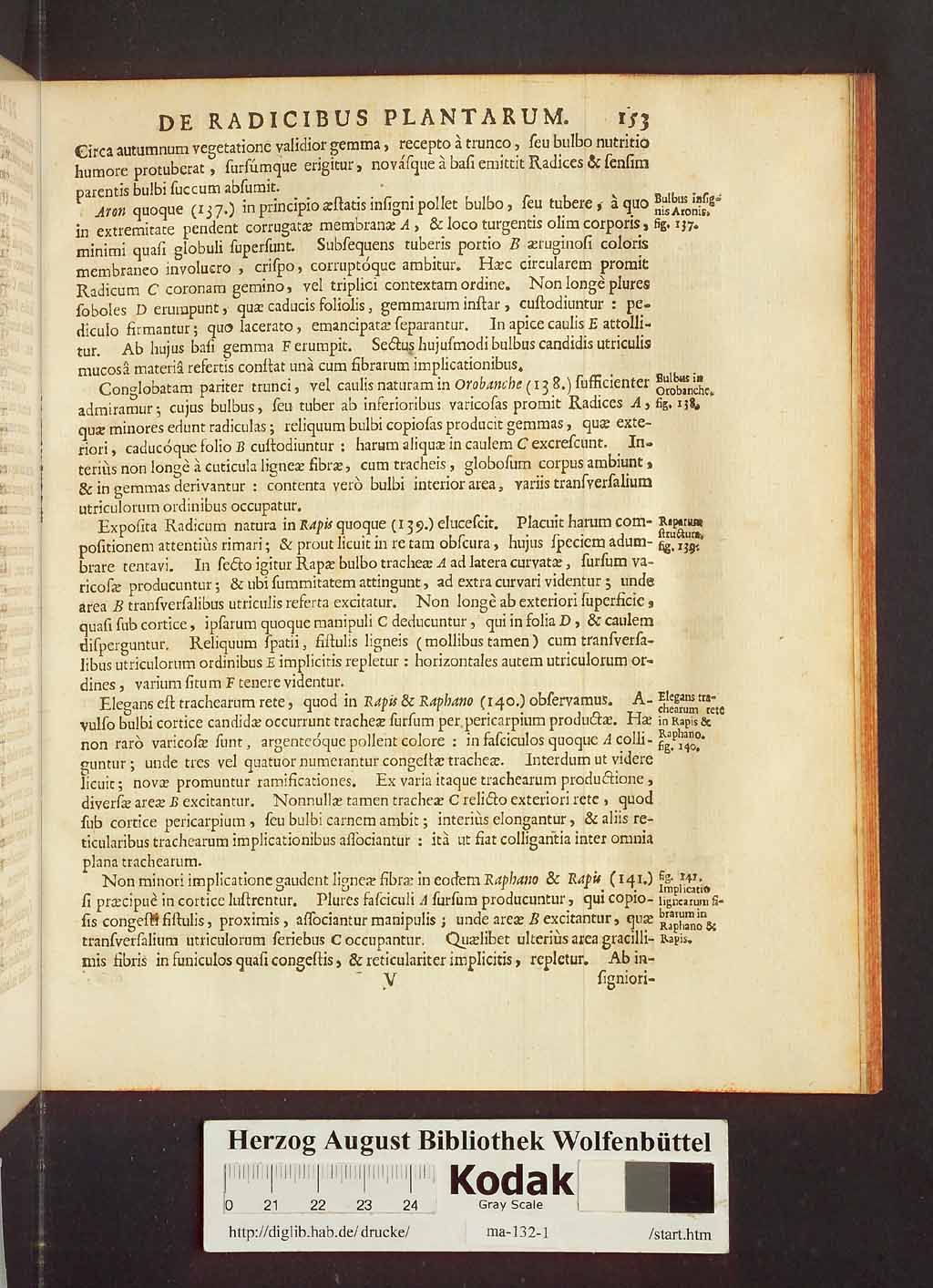 http://diglib.hab.de/drucke/ma-132-1/00175.jpg