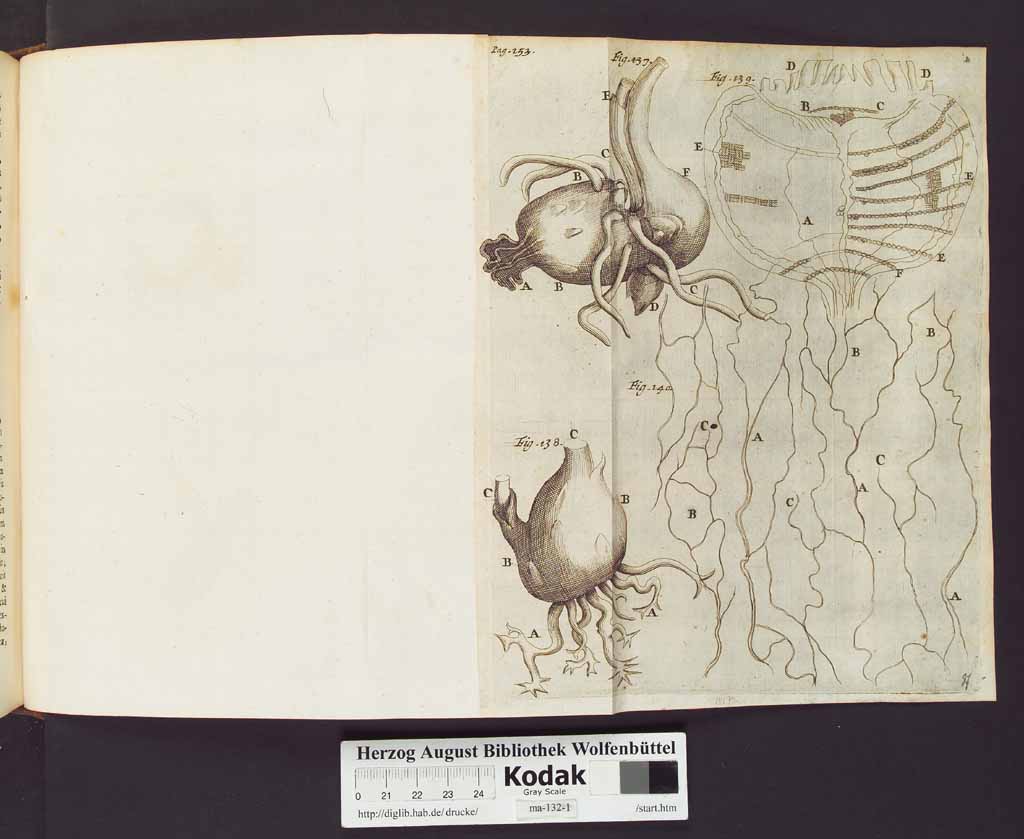http://diglib.hab.de/drucke/ma-132-1/00176a.jpg