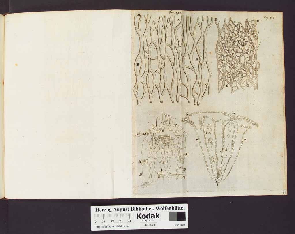 http://diglib.hab.de/drucke/ma-132-1/00176b.jpg