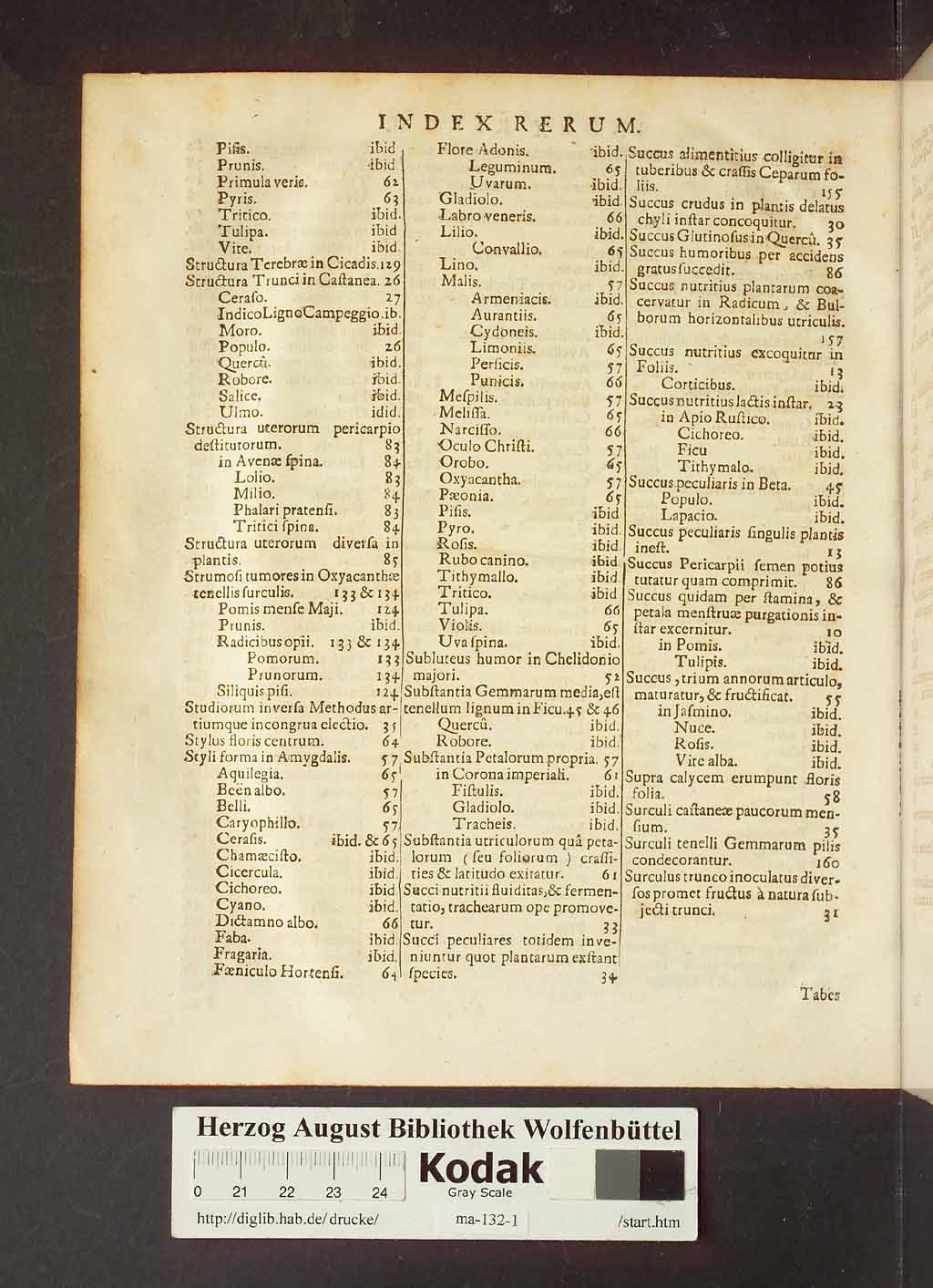 http://diglib.hab.de/drucke/ma-132-1/00212.jpg