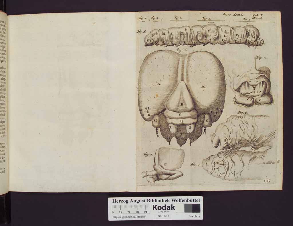 http://diglib.hab.de/drucke/ma-132-2/00020a.jpg