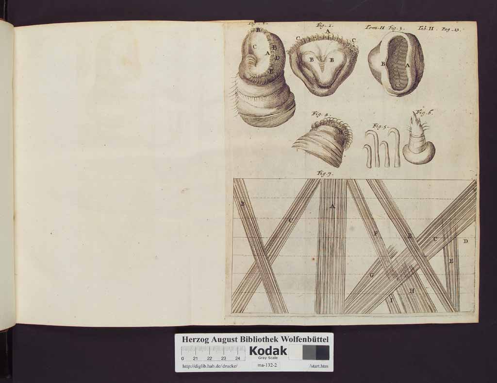 http://diglib.hab.de/drucke/ma-132-2/00020b.jpg