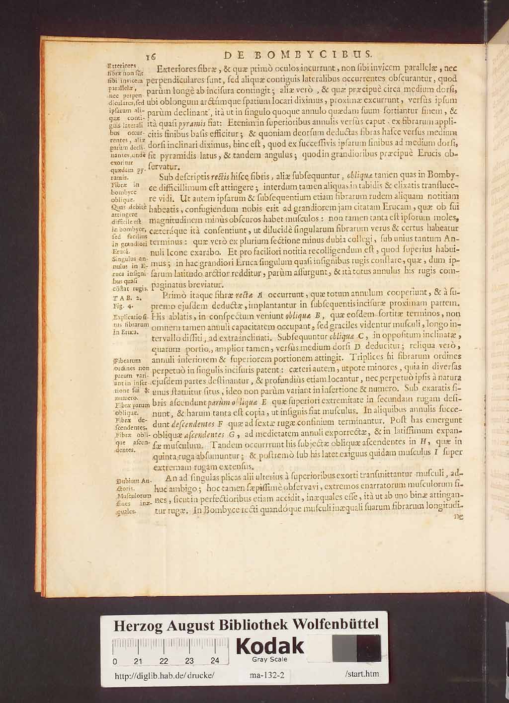http://diglib.hab.de/drucke/ma-132-2/00022.jpg