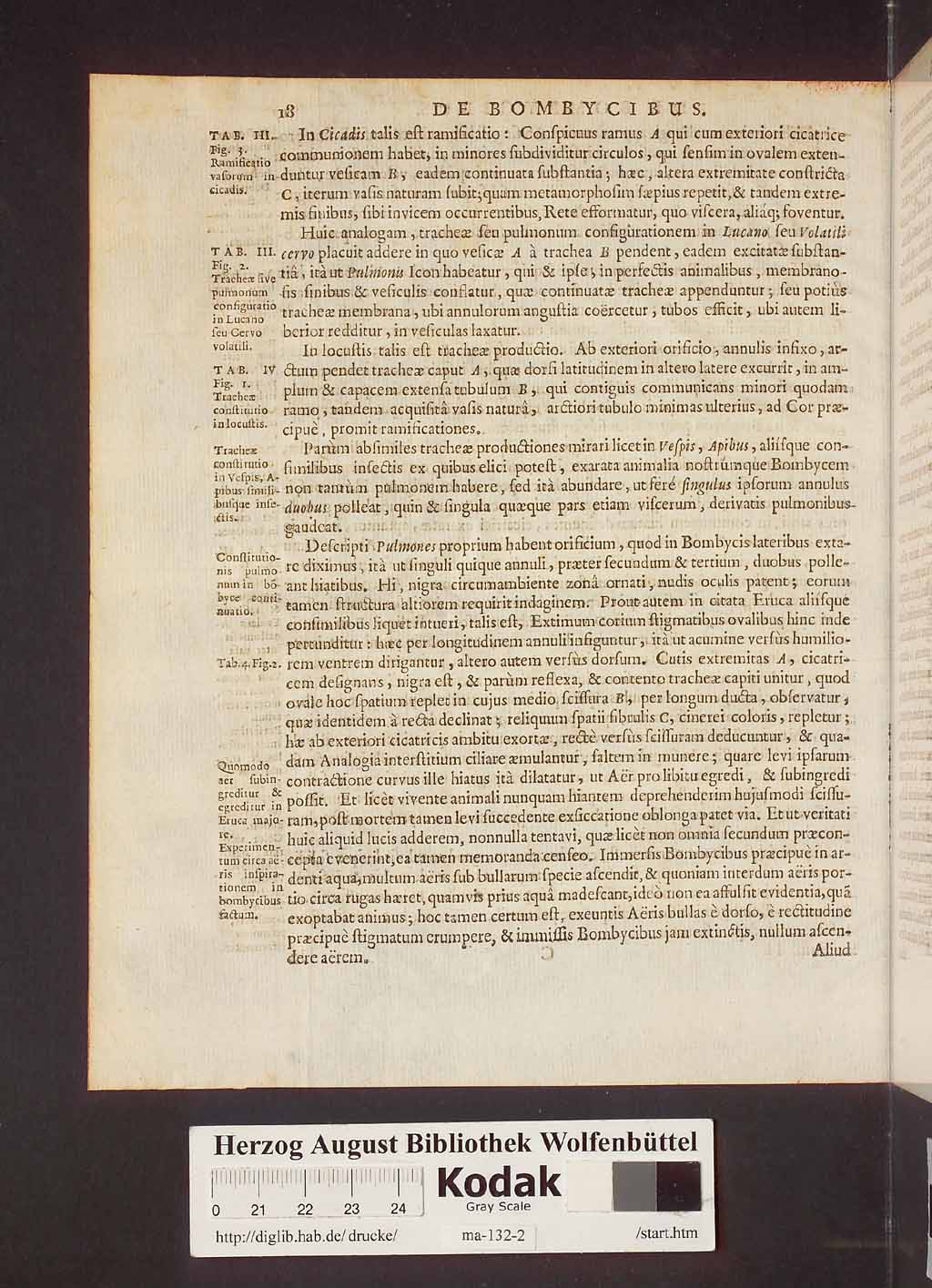 http://diglib.hab.de/drucke/ma-132-2/00024.jpg