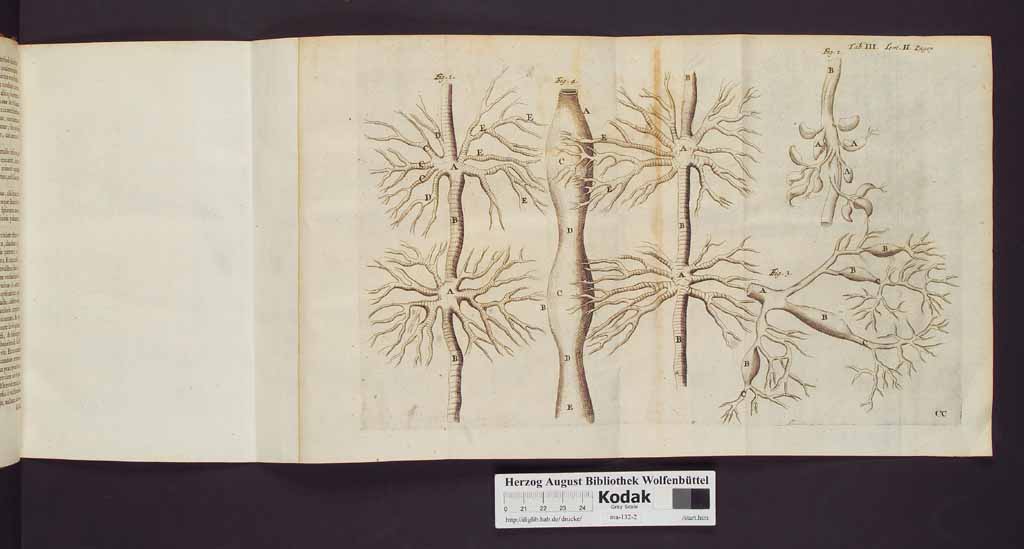 http://diglib.hab.de/drucke/ma-132-2/00024a.jpg