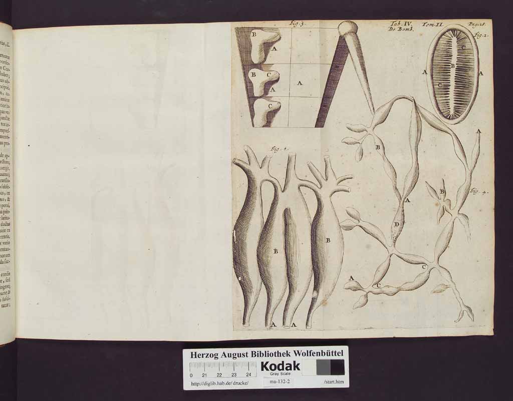 http://diglib.hab.de/drucke/ma-132-2/00026a.jpg