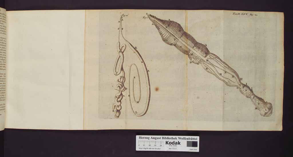 http://diglib.hab.de/drucke/ma-132-2/00030a.jpg