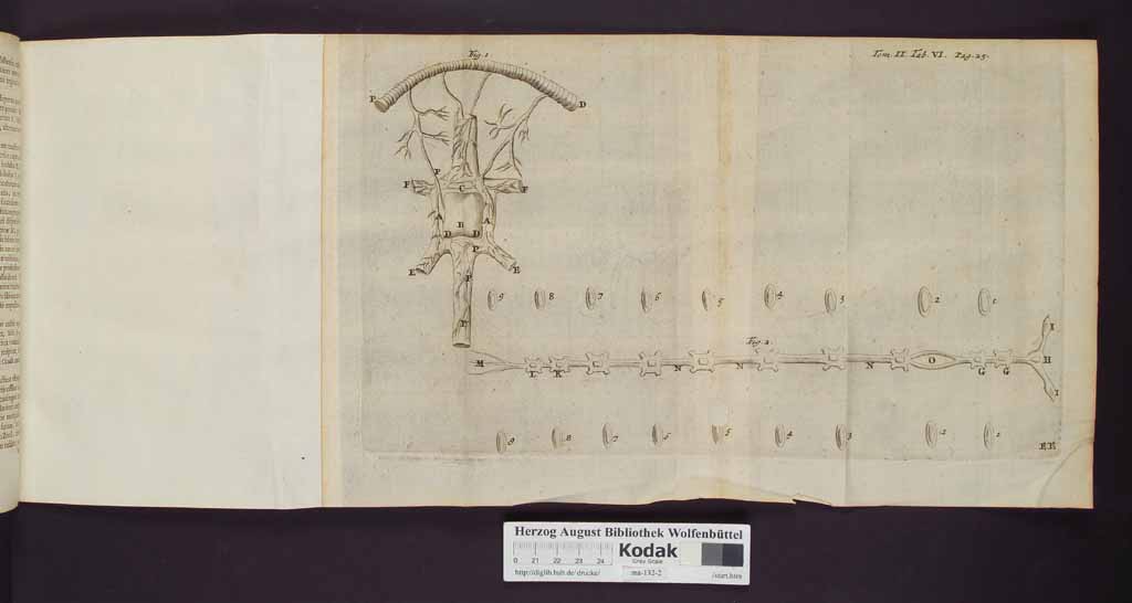 http://diglib.hab.de/drucke/ma-132-2/00032a.jpg