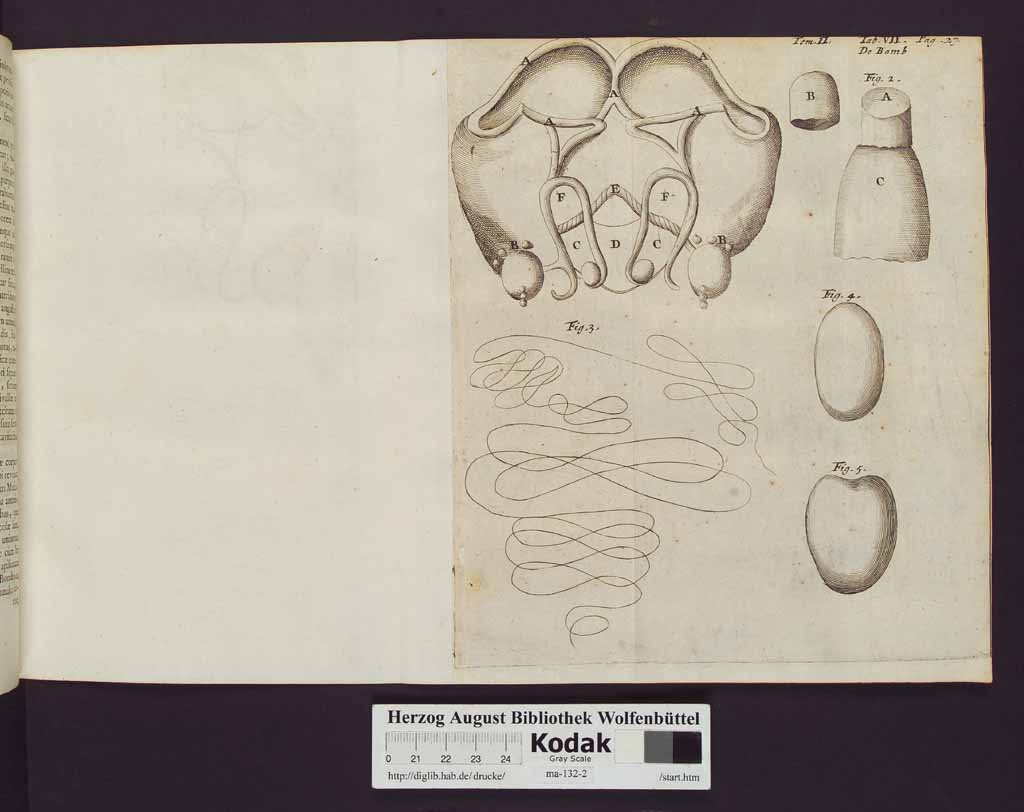 http://diglib.hab.de/drucke/ma-132-2/00036a.jpg
