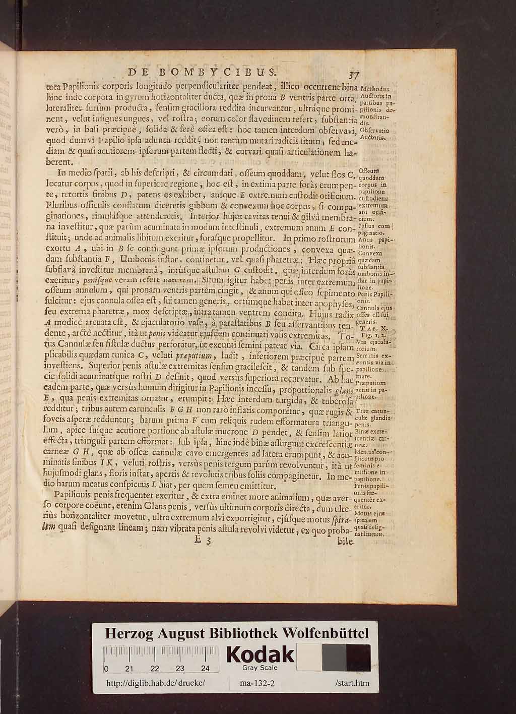 http://diglib.hab.de/drucke/ma-132-2/00043.jpg