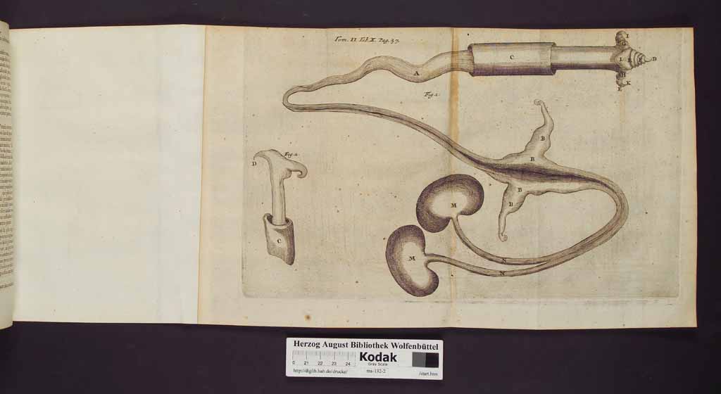 http://diglib.hab.de/drucke/ma-132-2/00044a.jpg