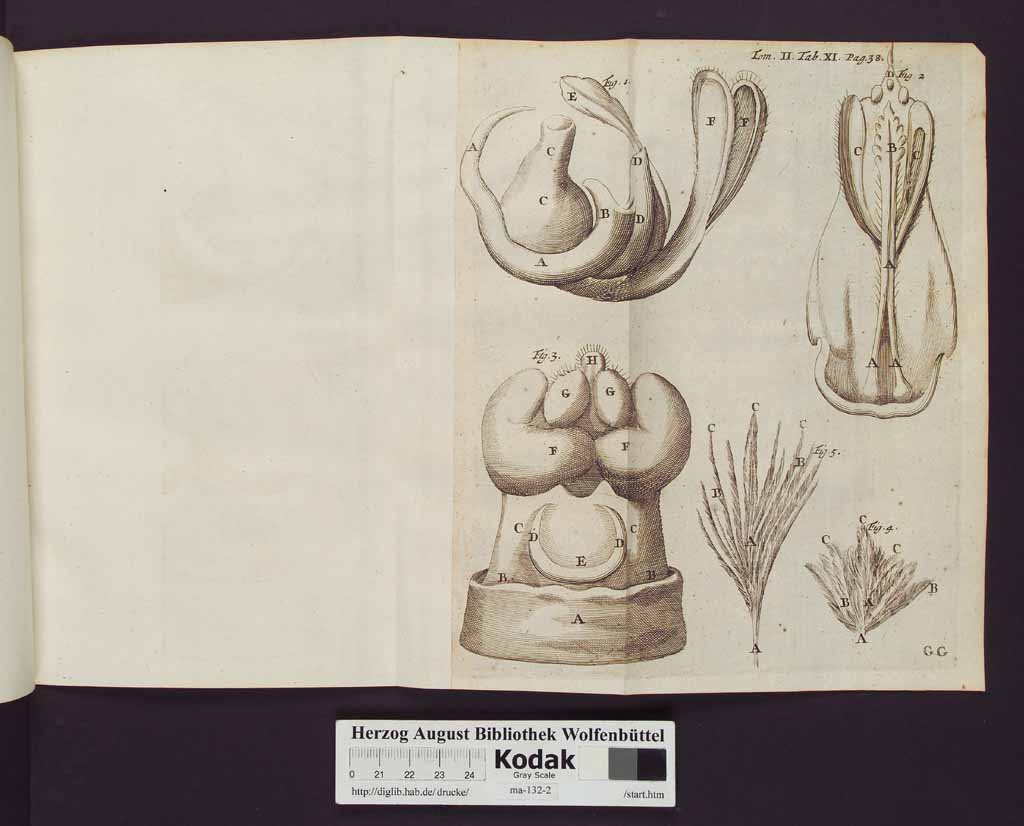 http://diglib.hab.de/drucke/ma-132-2/00044b.jpg