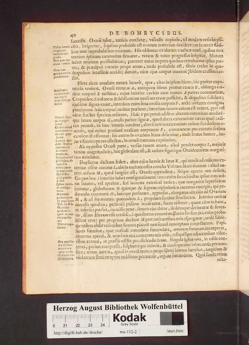 http://diglib.hab.de/drucke/ma-132-2/00046.jpg