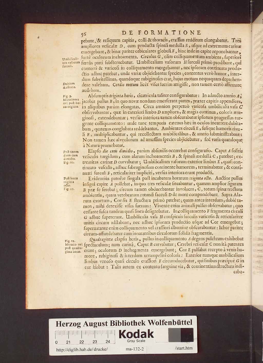 http://diglib.hab.de/drucke/ma-132-2/00062.jpg