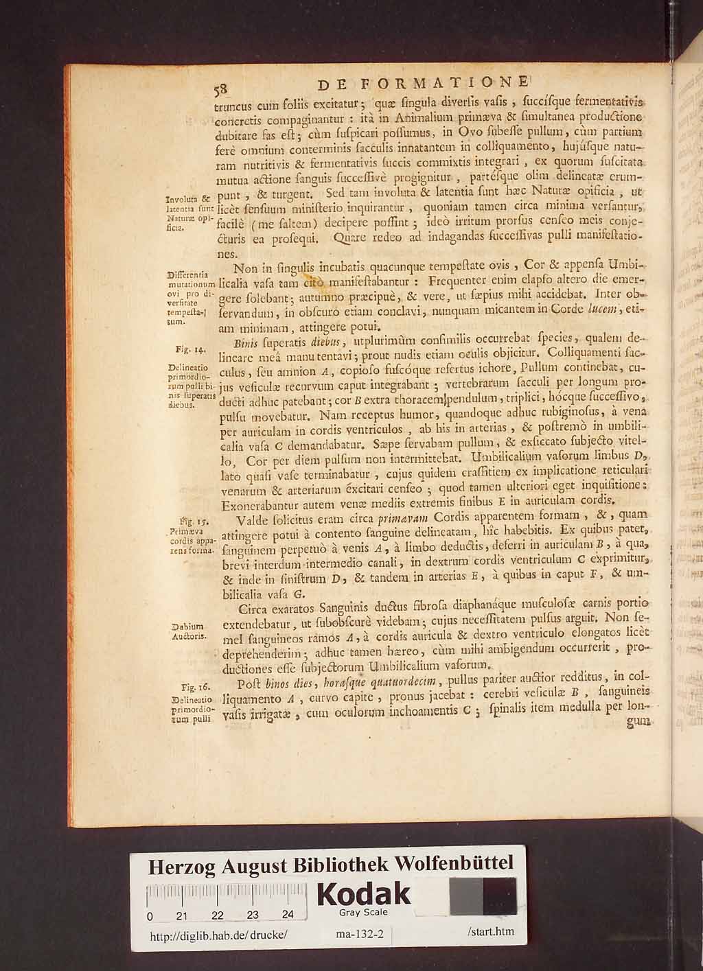 http://diglib.hab.de/drucke/ma-132-2/00064.jpg