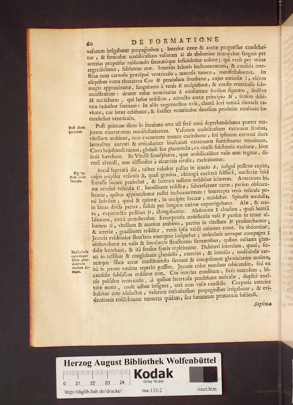 http://diglib.hab.de/drucke/ma-132-2/00066.jpg