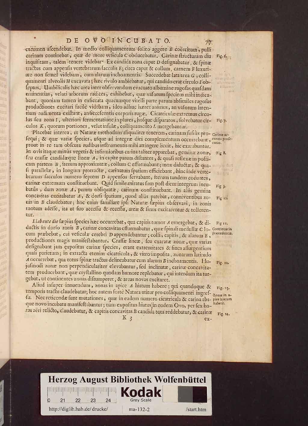 http://diglib.hab.de/drucke/ma-132-2/00083.jpg