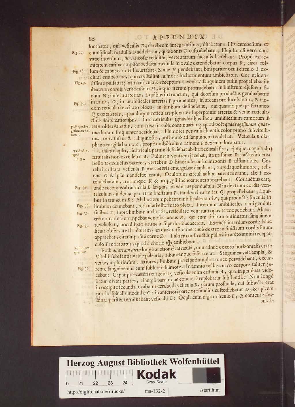 http://diglib.hab.de/drucke/ma-132-2/00086.jpg