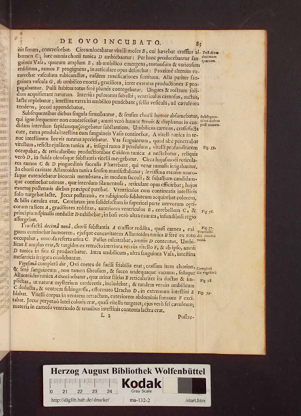 http://diglib.hab.de/drucke/ma-132-2/00089.jpg