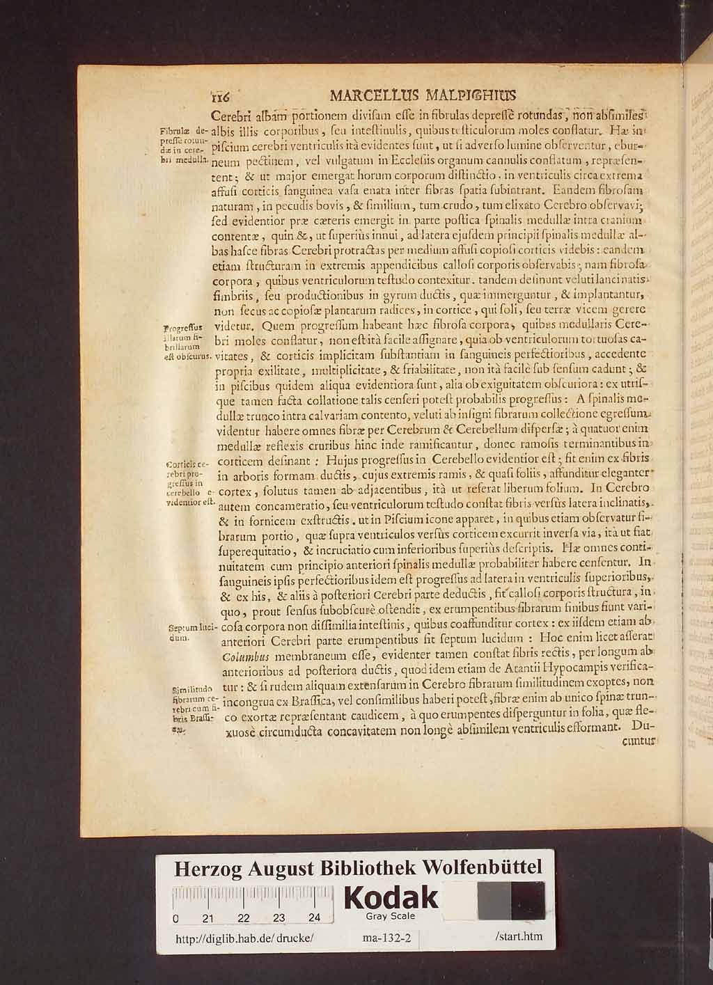http://diglib.hab.de/drucke/ma-132-2/00122.jpg