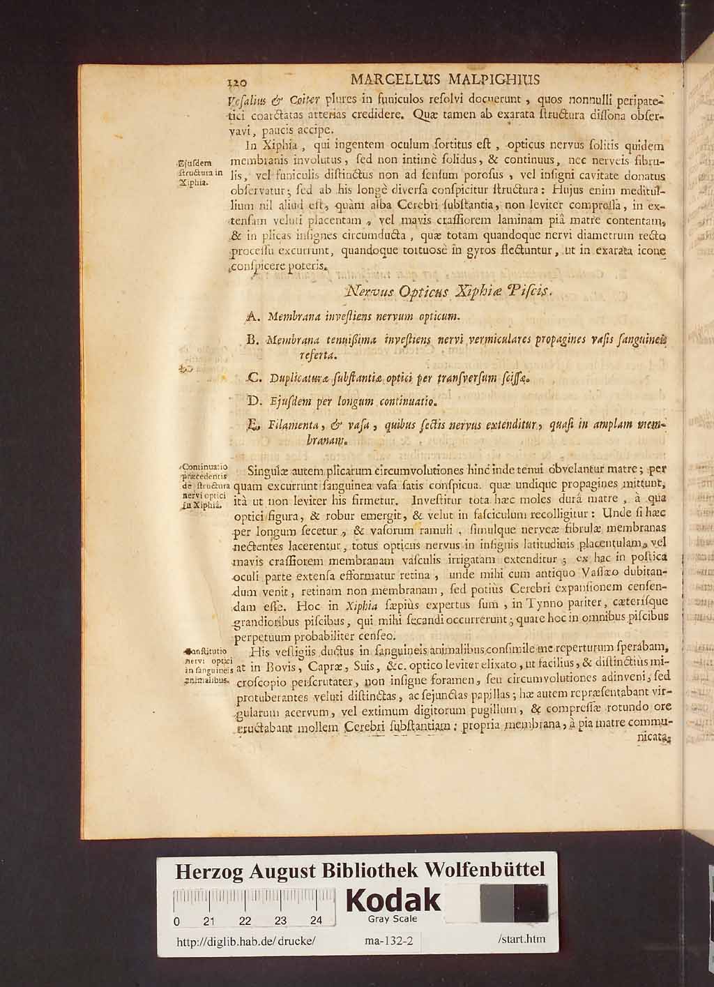 http://diglib.hab.de/drucke/ma-132-2/00126.jpg