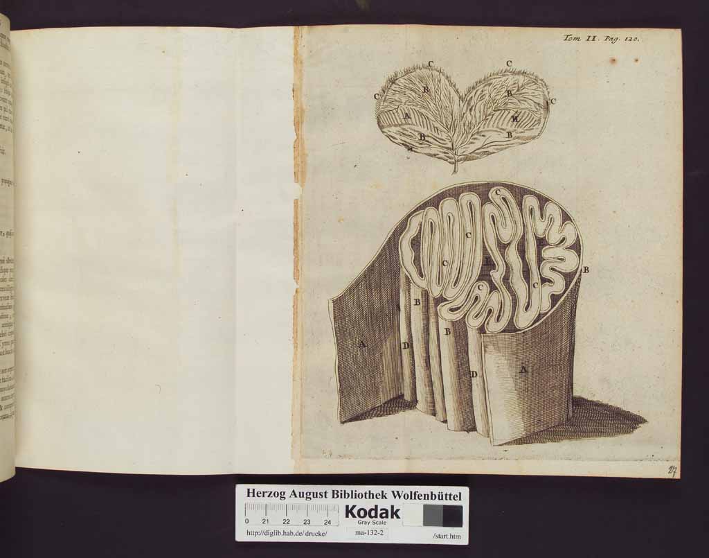 http://diglib.hab.de/drucke/ma-132-2/00126a.jpg