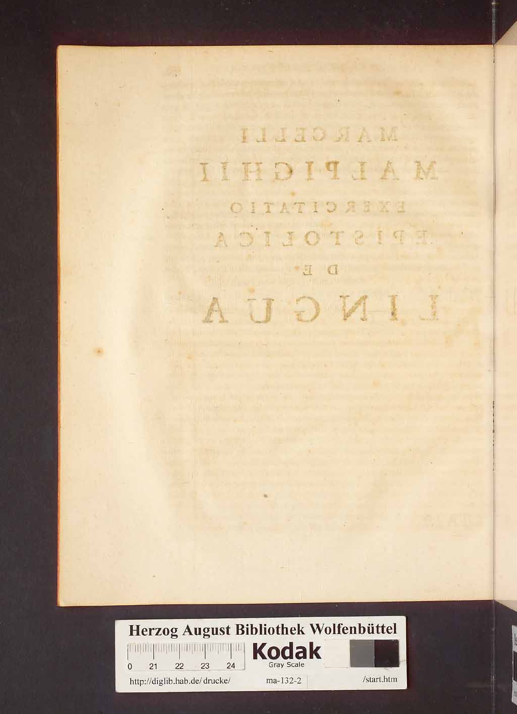 http://diglib.hab.de/drucke/ma-132-2/00168.jpg