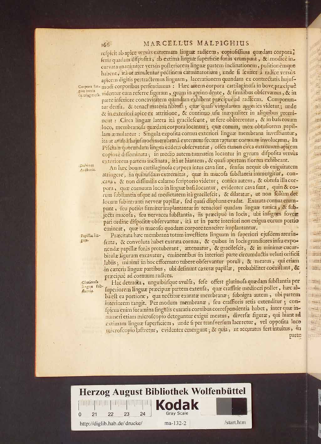 http://diglib.hab.de/drucke/ma-132-2/00170.jpg