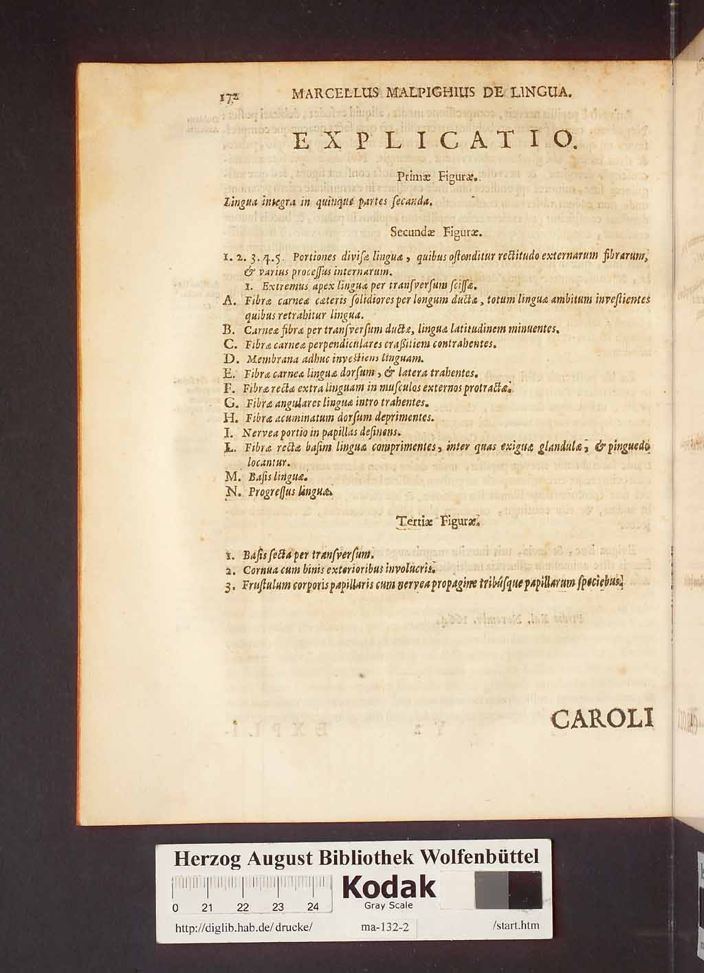 http://diglib.hab.de/drucke/ma-132-2/00176.jpg