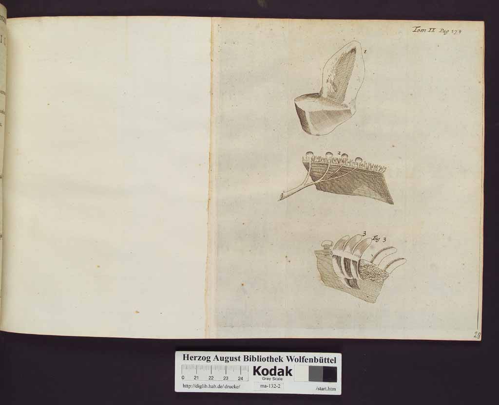 http://diglib.hab.de/drucke/ma-132-2/00176a.jpg